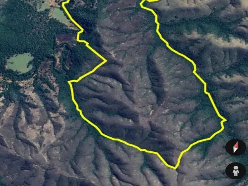 Fazenda 146 ha, Francisco, Lagamar MG