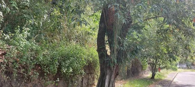 Terreno, El dourado, Freguesia, Jacarépagua, RJ - Foto 4