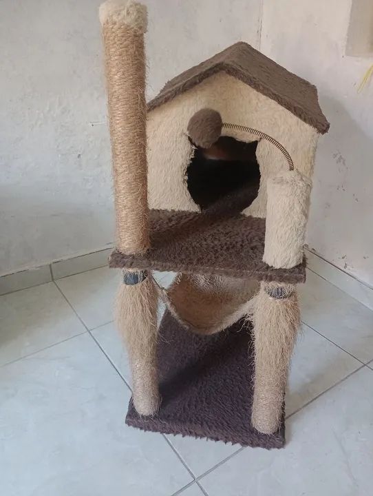 Casinha para gatos  - Foto 4