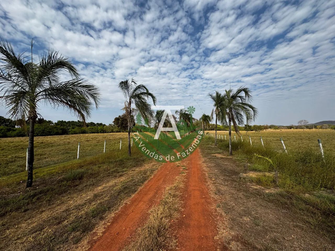 Fazenda de 29,5 alq em Matrinchã GO