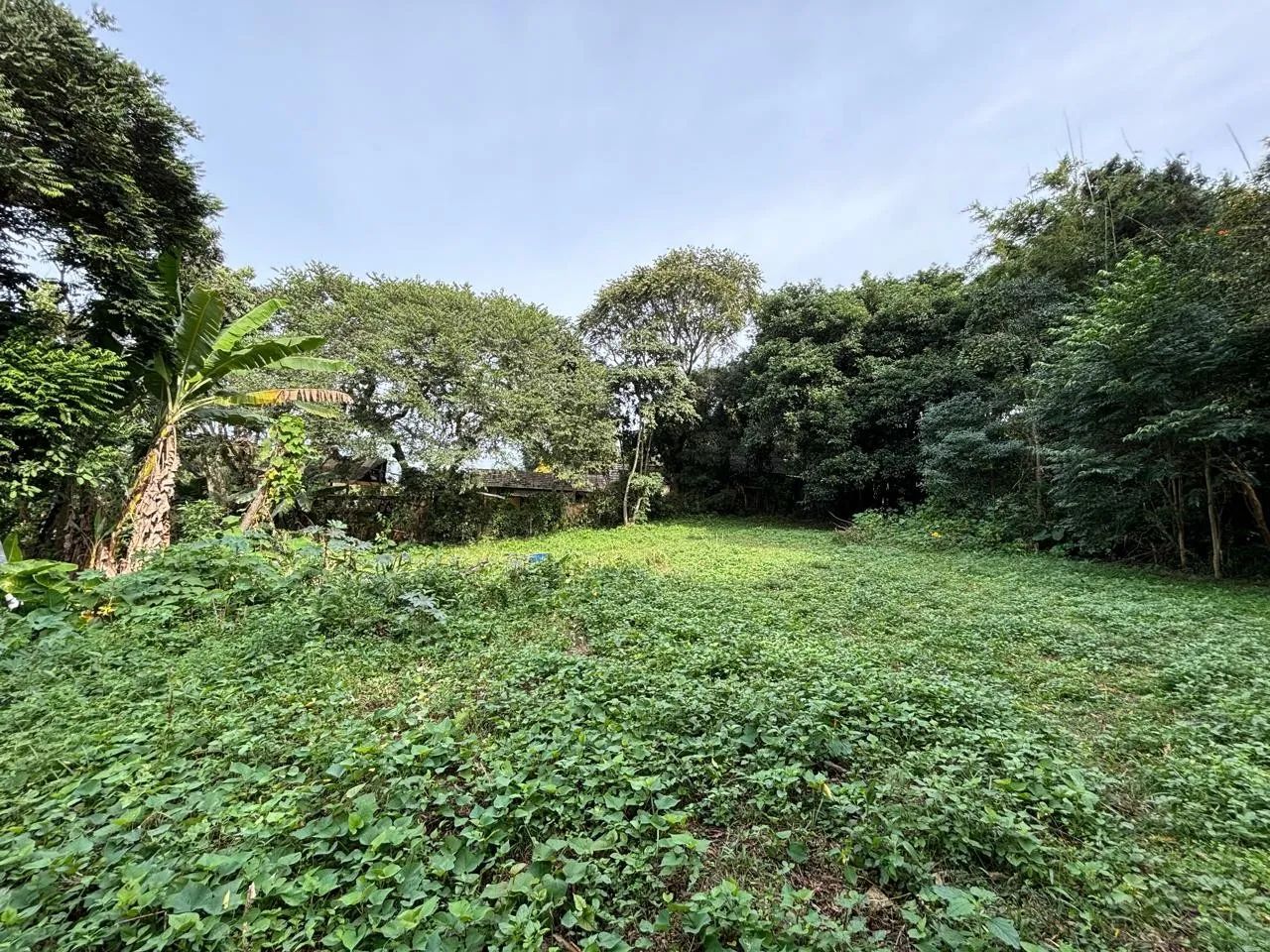 Terreno para Venda em Imbituba, IBIRAQUERA - Foto 4
