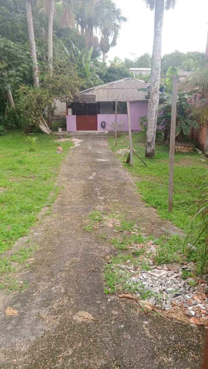 Foto - Manaus - Flores