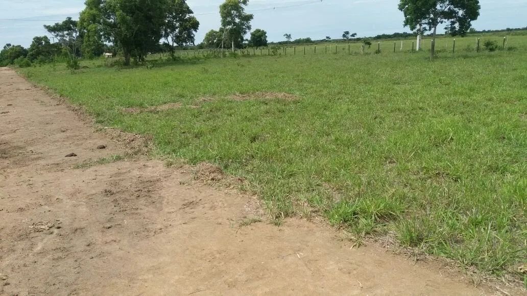 Vende-se chácaras  - Foto 2