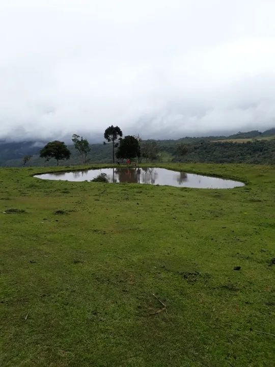 Sitio em Alfredo Wagner - Foto 3