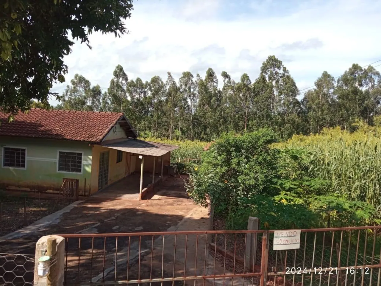 OPORTUNIDADE! Casa em área rural com terreno de 5 mil metros quadrados 