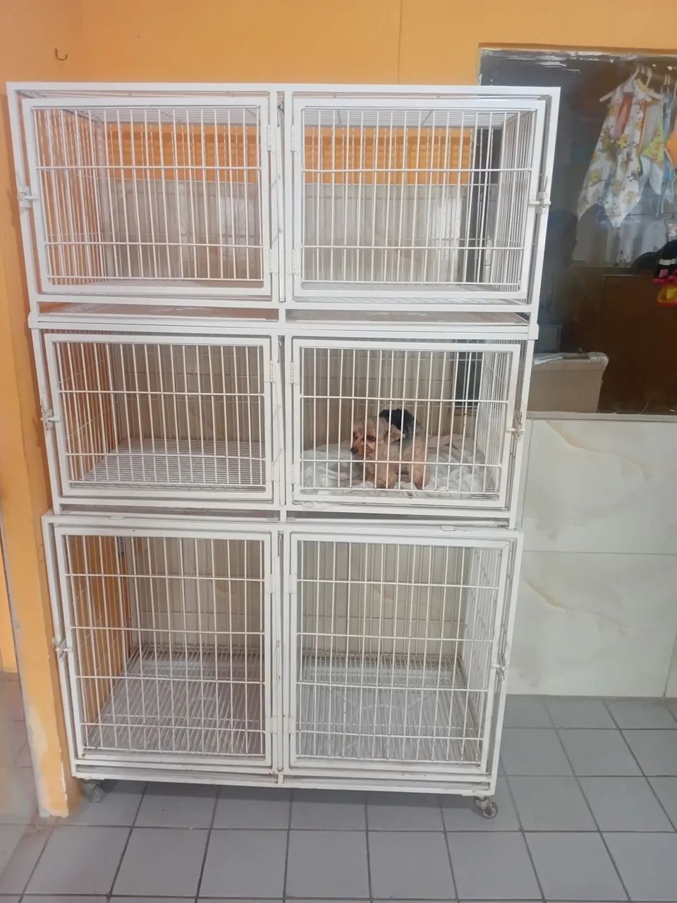 Gaiolas para cães ou gatos - Foto 2