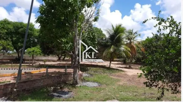 Oportunidade - Belissima Granja - 18 Hectares - Escritura Publica - Lagoa Bosqueira Touros