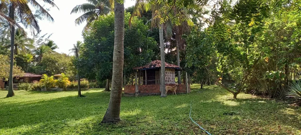 VENDA - CHÁCARA