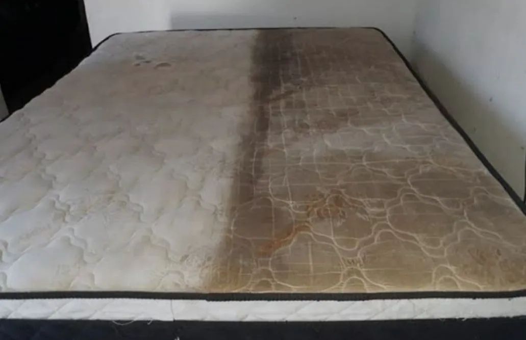 Limpeza e higienização de estofados  - Foto 5