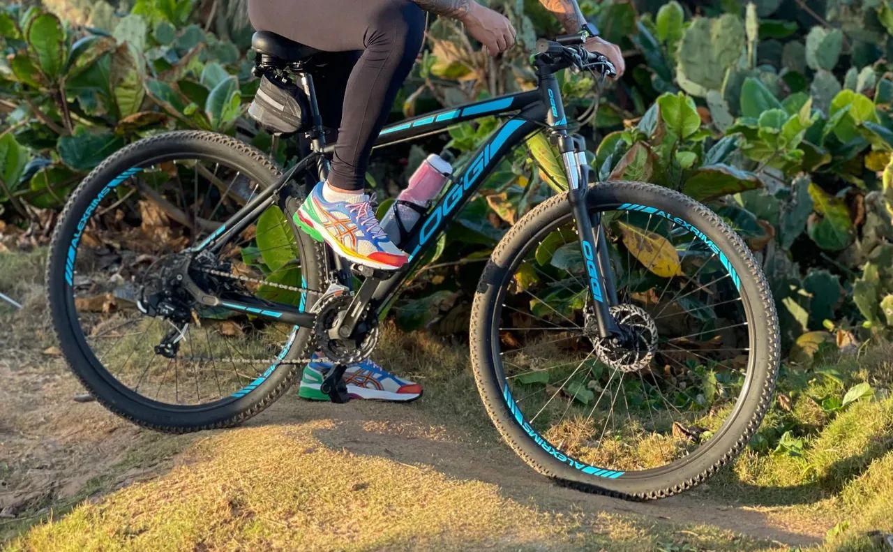 Oggi aro 29 quadro 19 Mountain Bike 