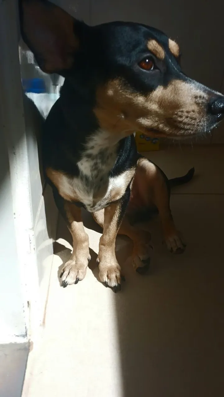 Doação