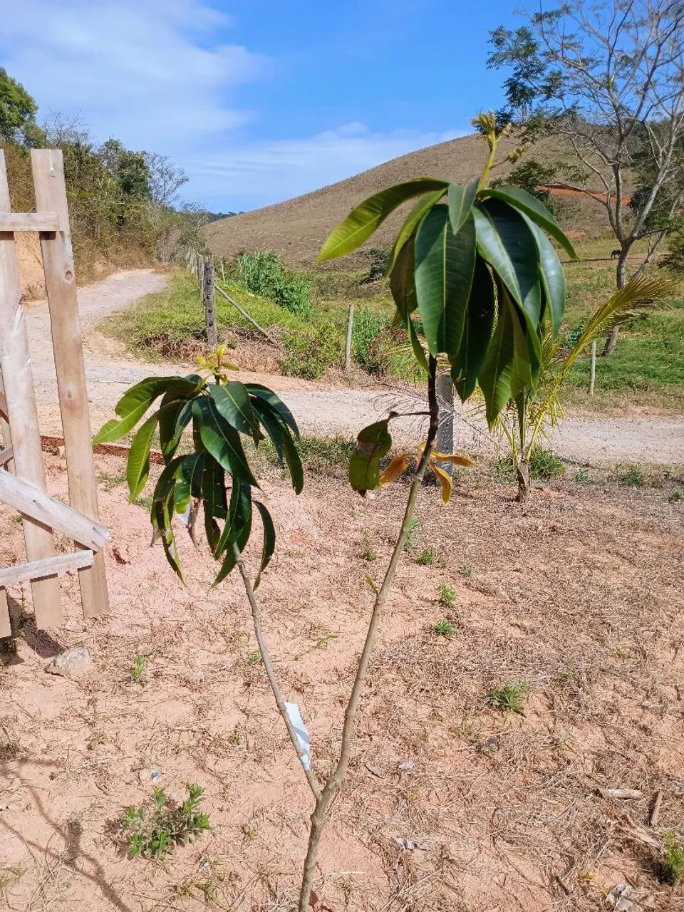 Excelente granja rural