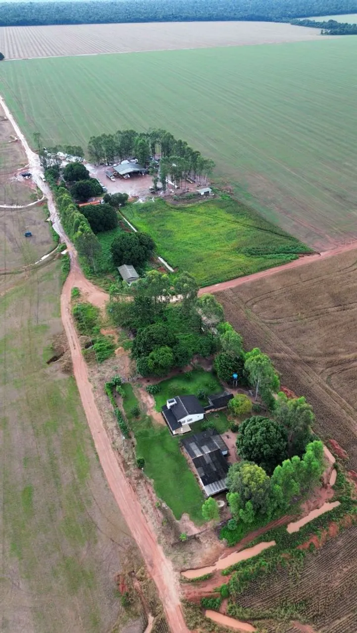 Fazenda arrendamento 1.450hec santa Carmem ágio 3 milhões