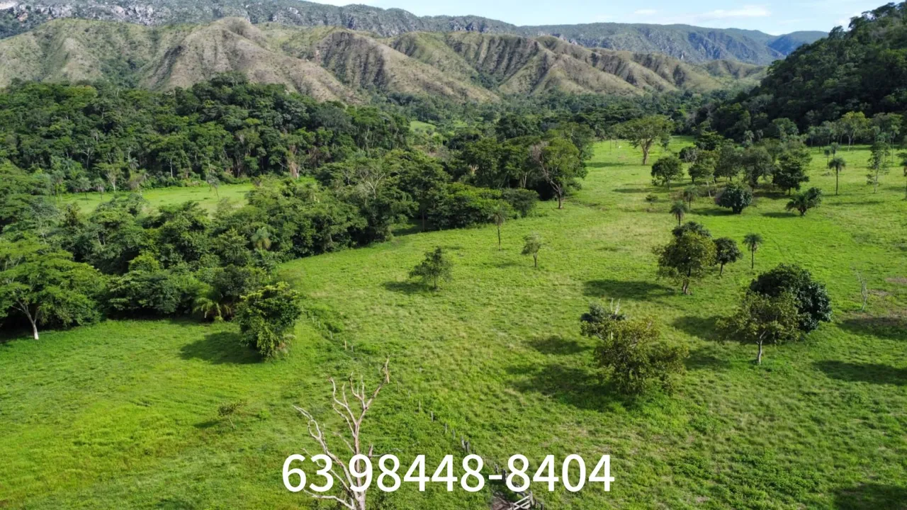 FAZ 3.064 HECTARES NO PONTO DE GANHAR DINHEIRO