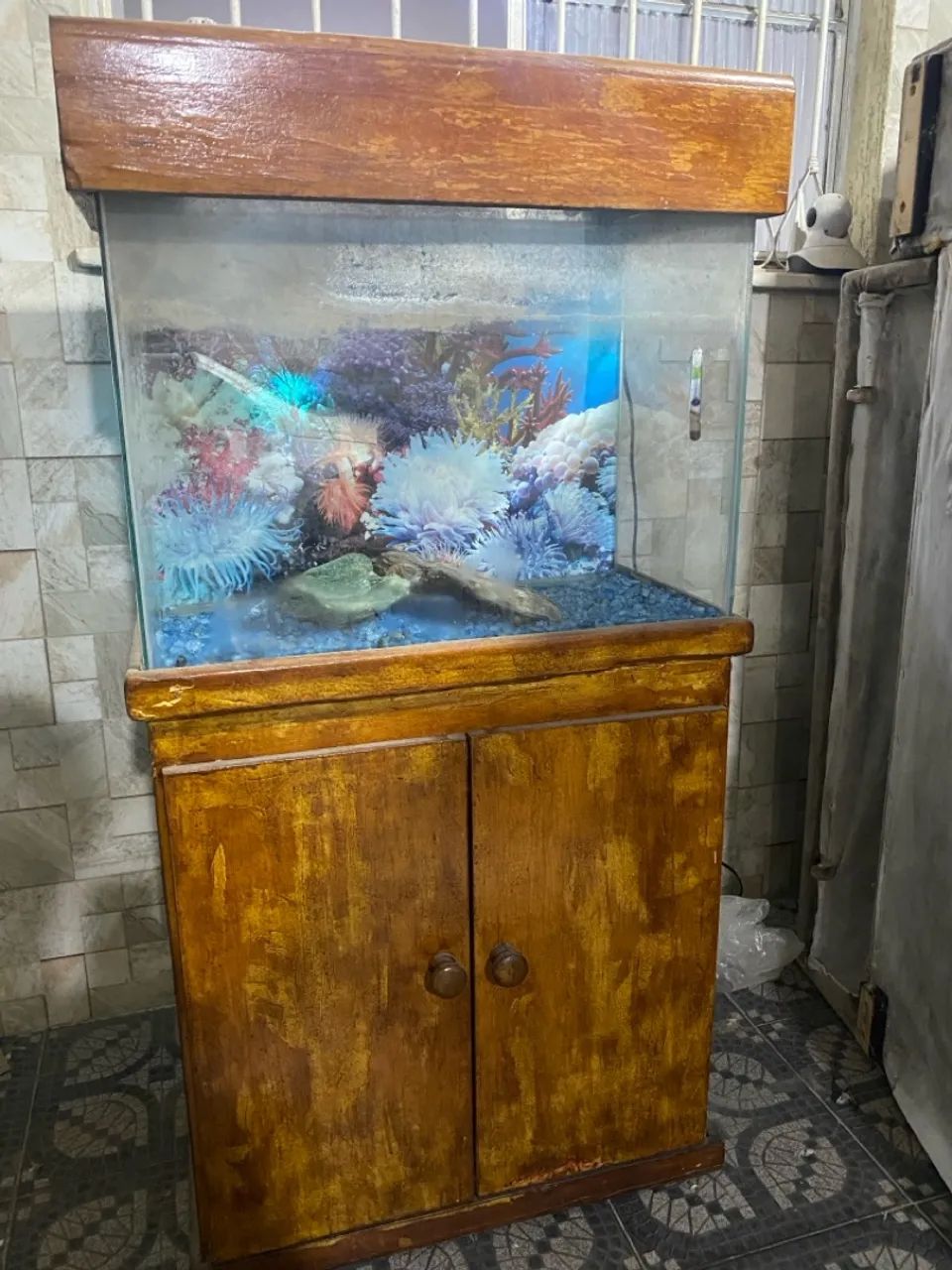 Aquário 80 litros - entrego 