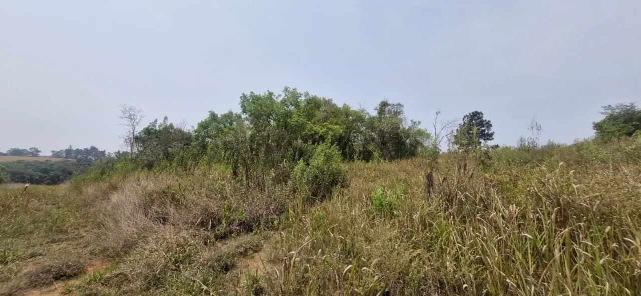 Terreno a venda em Sebandilha - Mairinque - SP - Foto 4