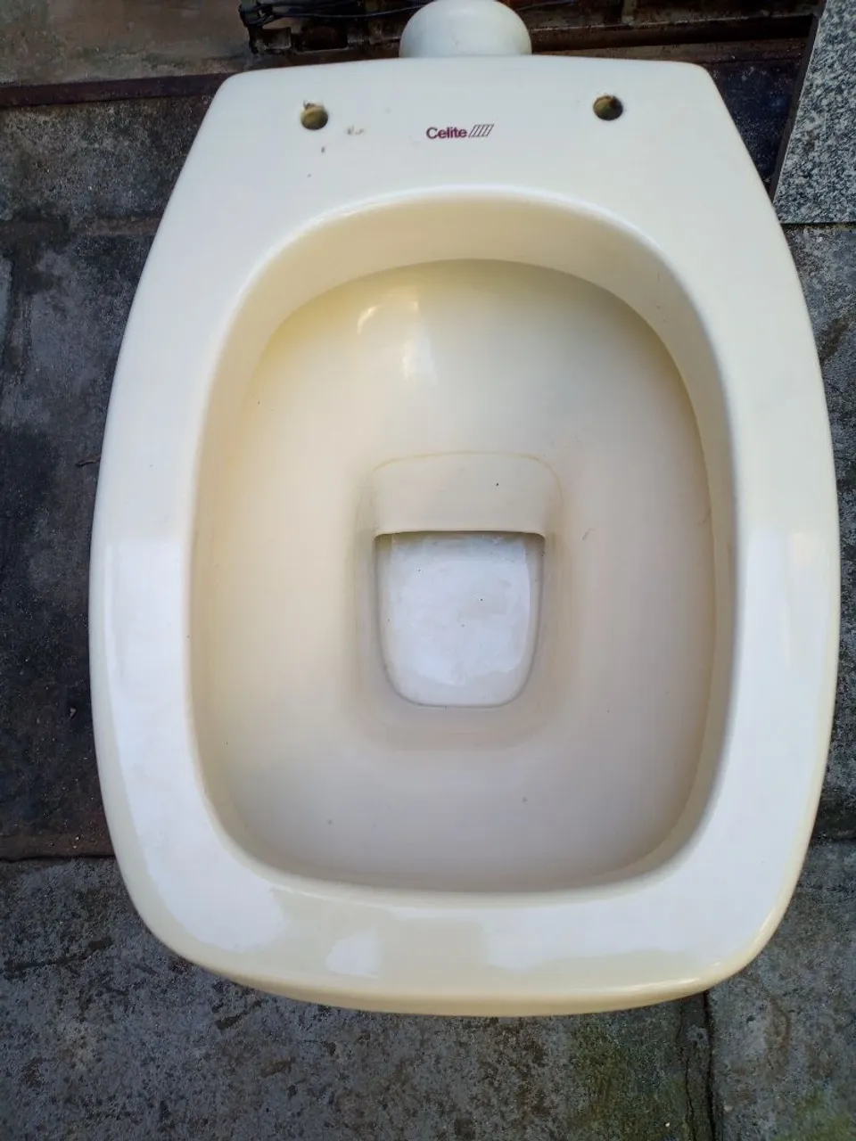 Vaso Sanitário Celite Usado