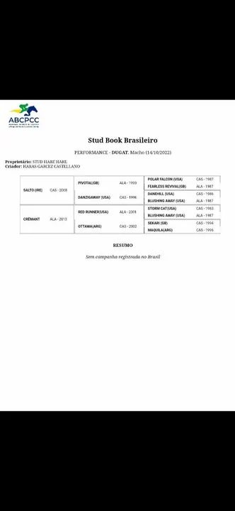 Potro a venda sem lesão  - Foto 4