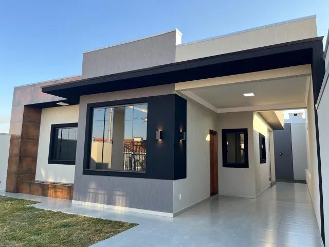 Foto - Ponta Grossa - Cará-cará