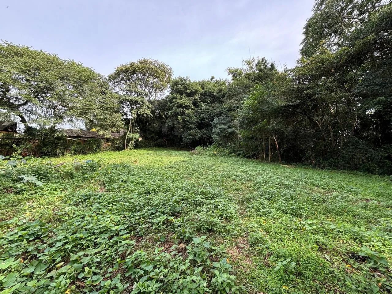 Terreno para Venda em Imbituba, IBIRAQUERA