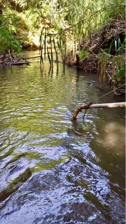 *vendo chácara em Muribeca   - Foto 3