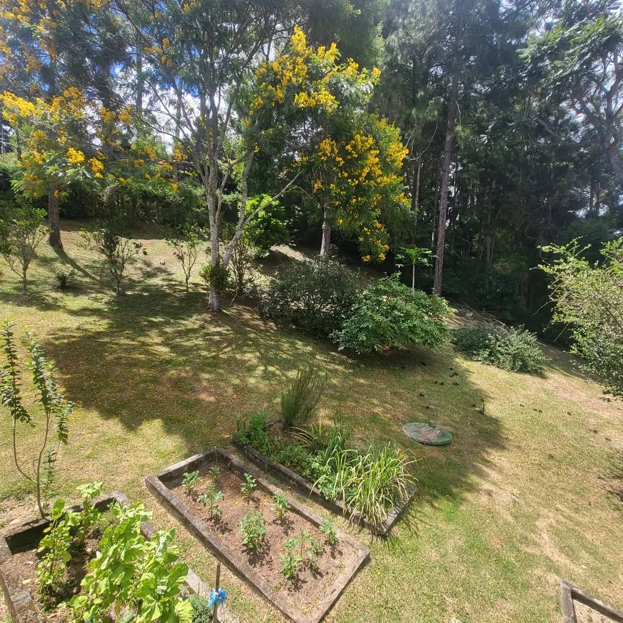 Terreno em condomínio/ Mury - Nova Friburgo - RJ - Foto 2