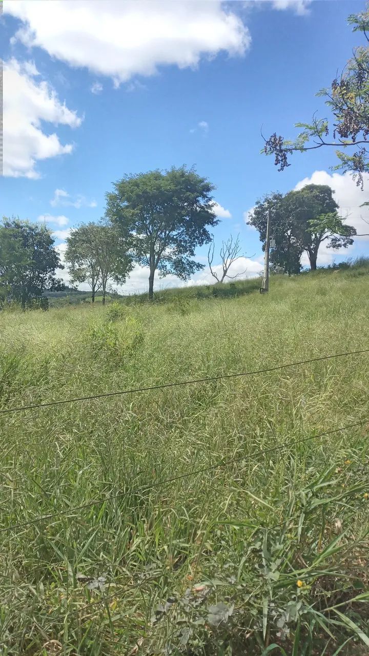 Vendo uma chacara