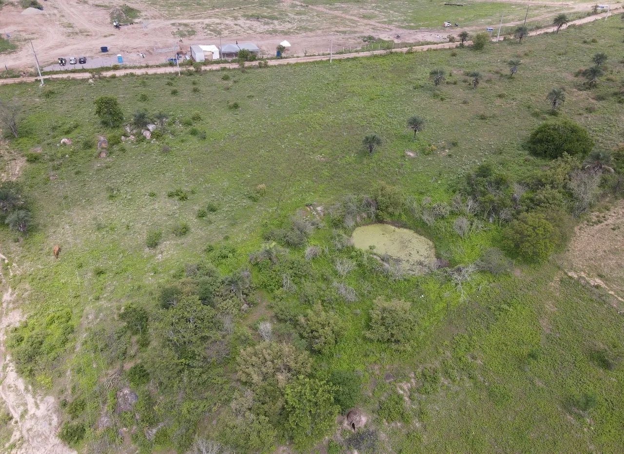 Vendo Fazenda na Br  - Foto 2