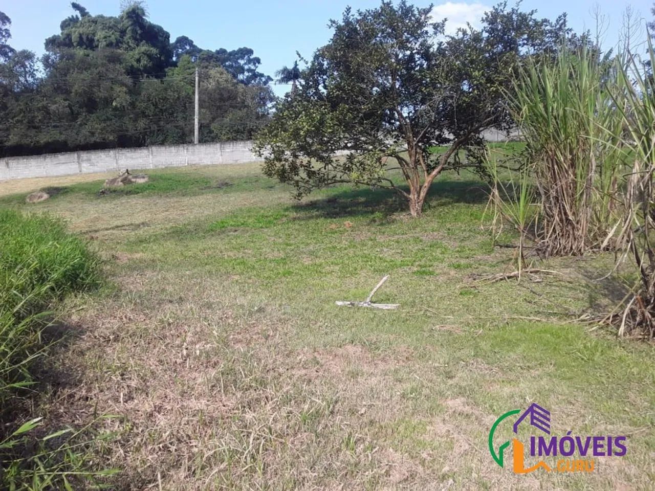 CHACARA - JARDIM ÍSIS - SP - Foto 5