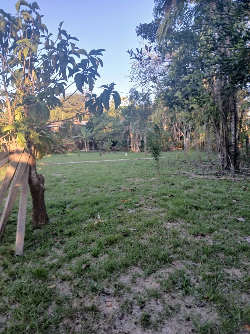 Vendo essa chácara  - Foto 2
