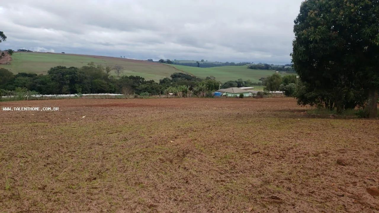 Área Rural para Venda em Faxinal - Foto 2