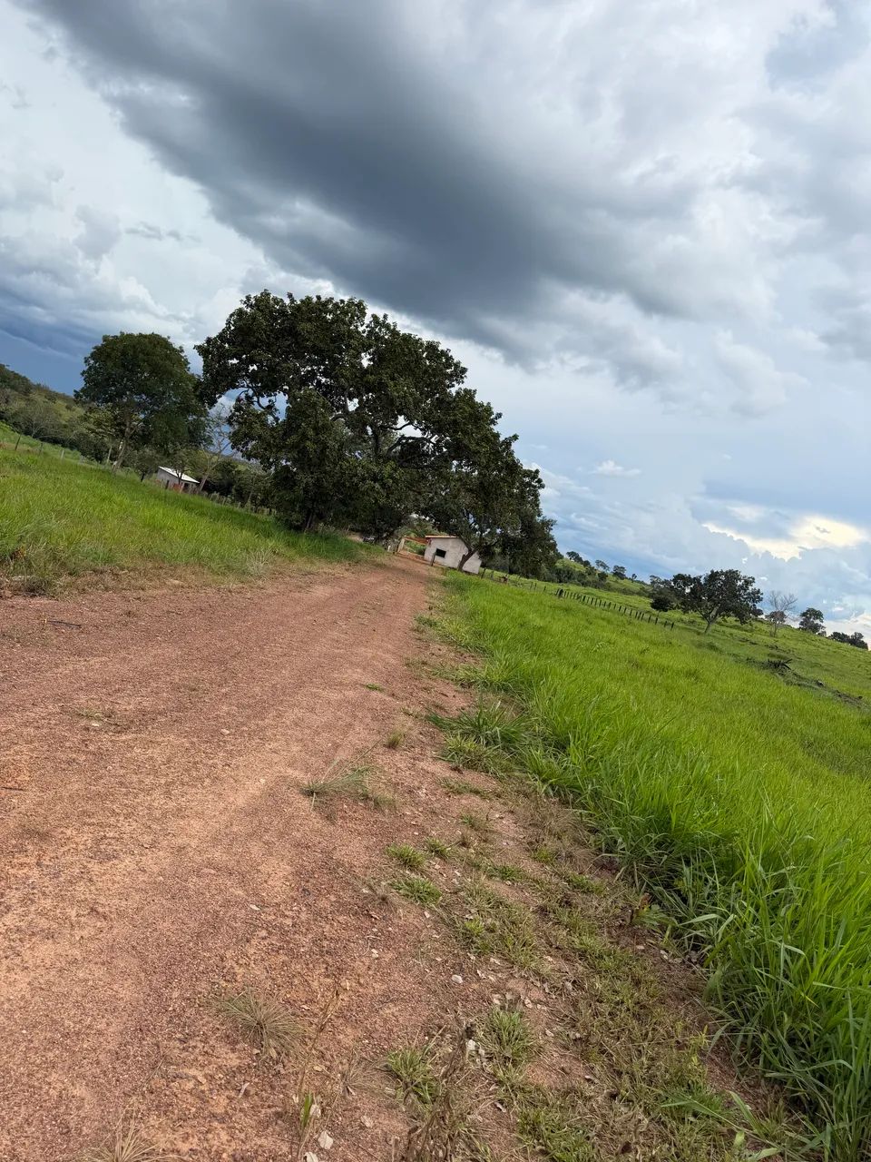 Alugo Fazenda Lagoa do Tocantins  - Foto 5