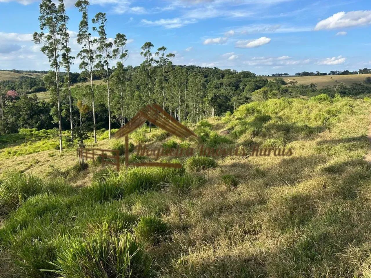 Sítio à venda com 5 alqueires em Guareí-SP - Foto 4