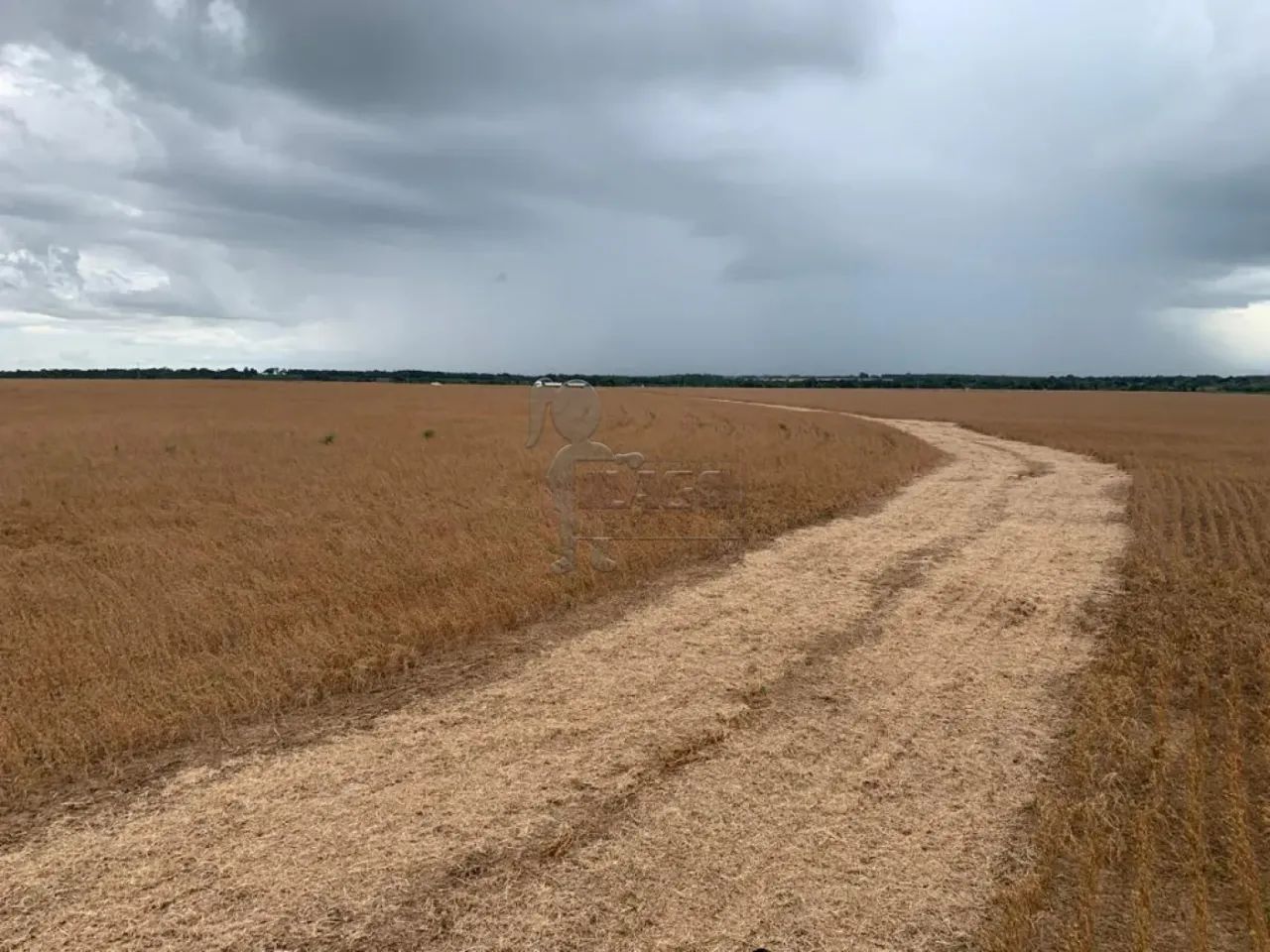 Fazenda 740,5 hectare à venda - Talismã-TO