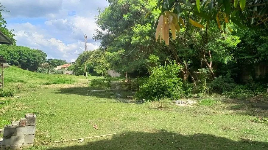 TERRENO VILA HARO - Foto 5