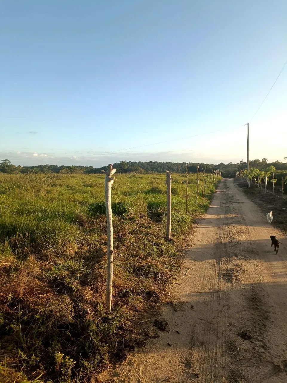 Lote a venda  - Foto 5
