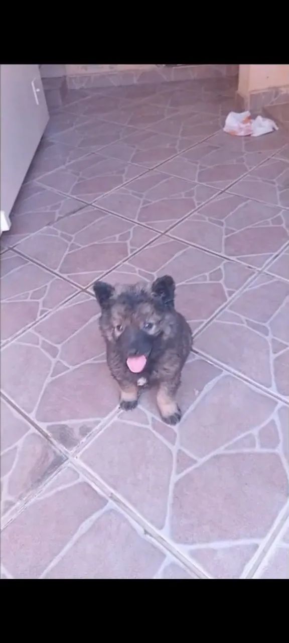 Vende se  - Foto 2