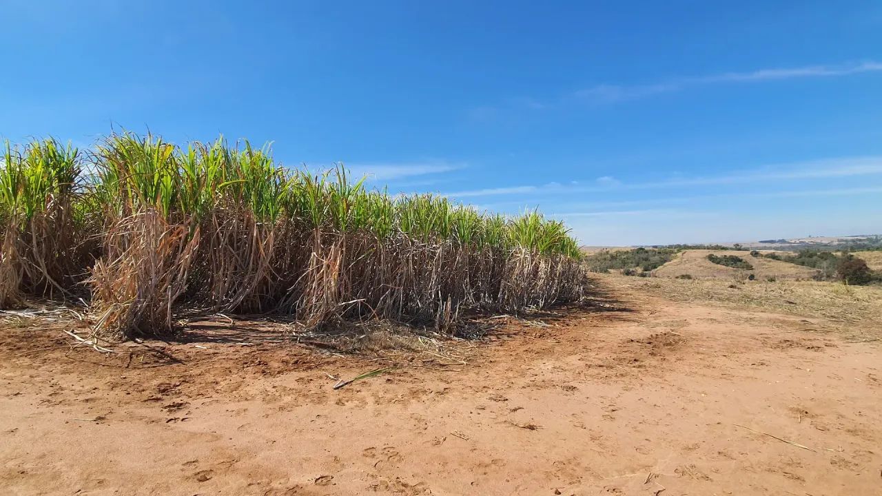 Sitio á venda Aguas de São Pedro SP - Foto 5