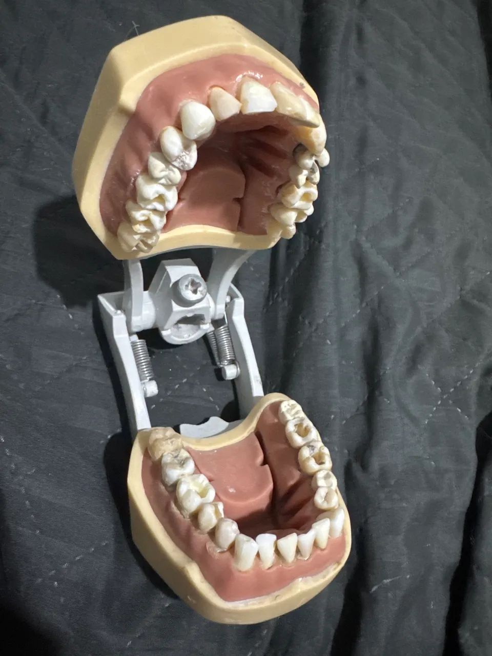 Manequim de endodontia 