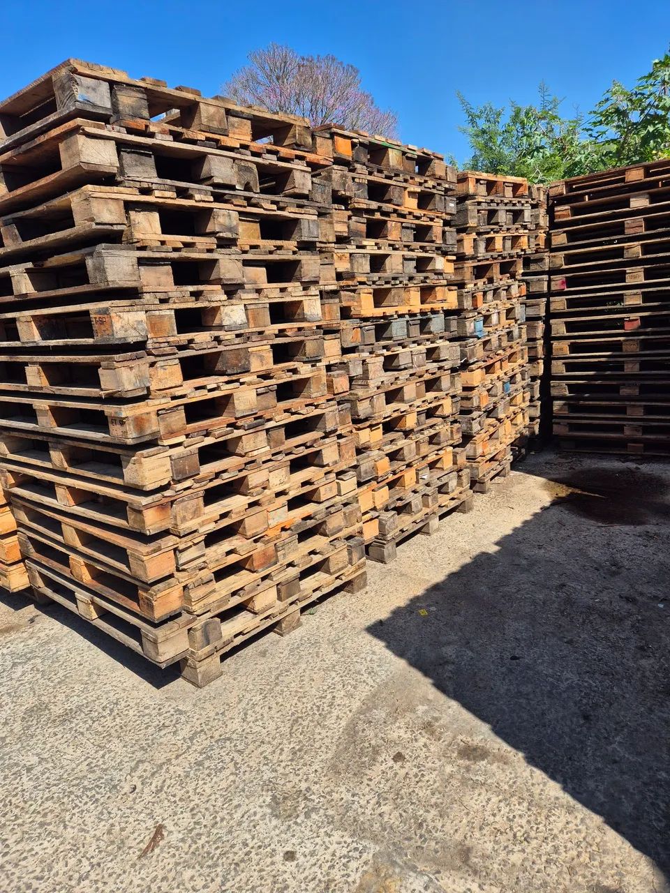 PALETES, PALLETS MADEIRA  - Foto 5