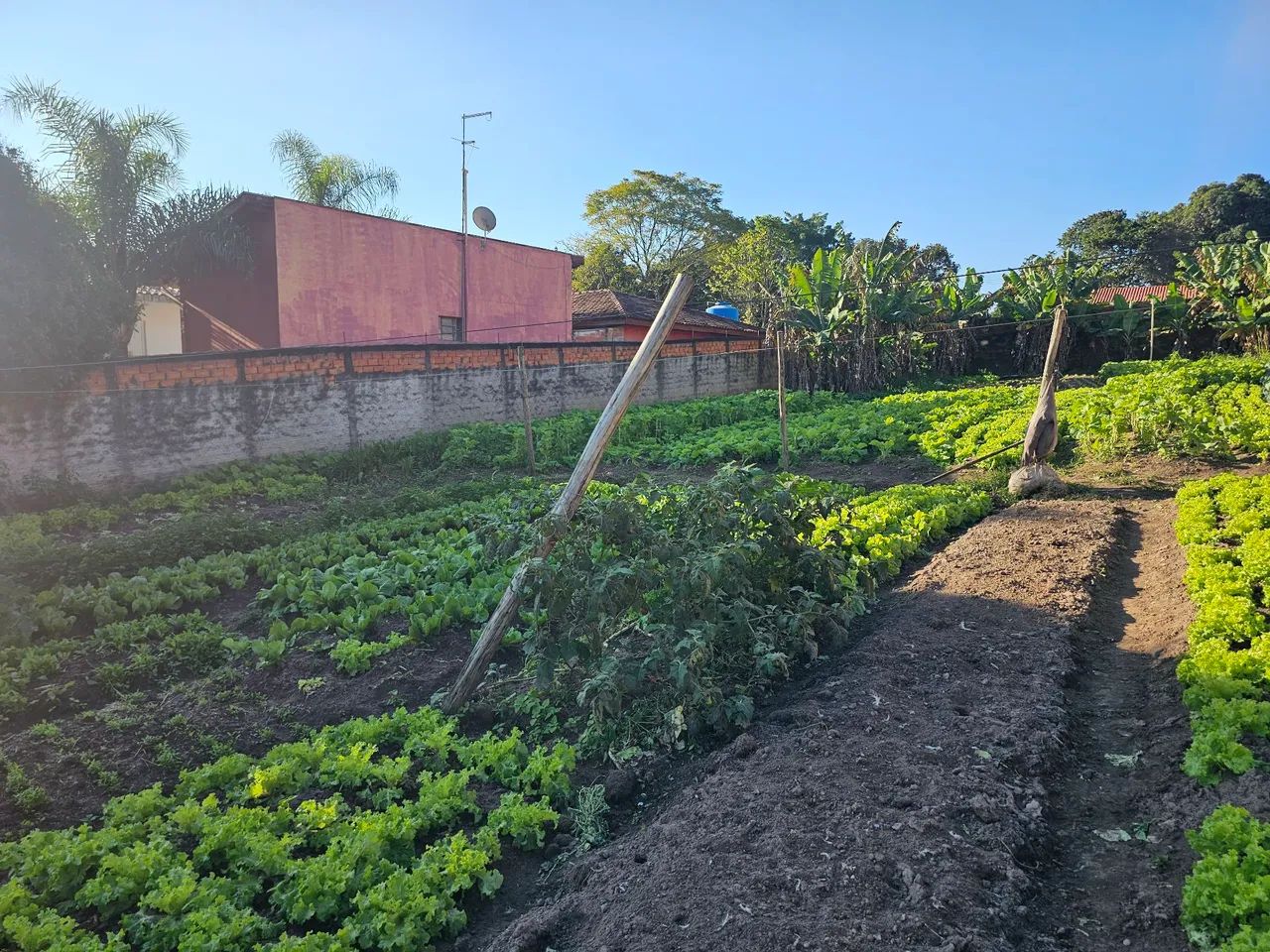 Terreno a venda em monte mor  - Foto 2