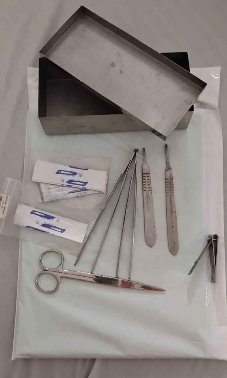 Kit dissecação veterinário para estudantes 