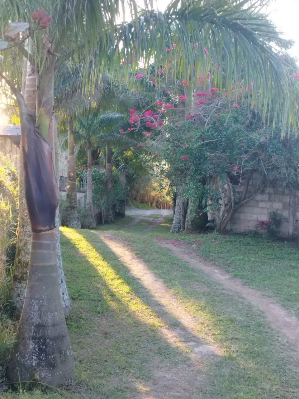 *DIRETO COM PROPRIETÁRIO* - Foto 2