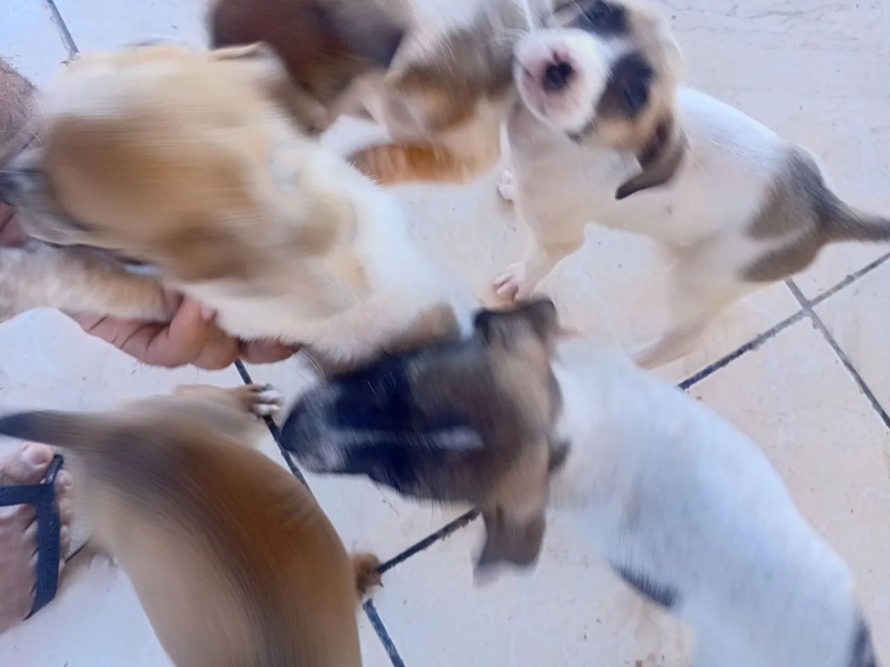 Para Doação  - Foto 3