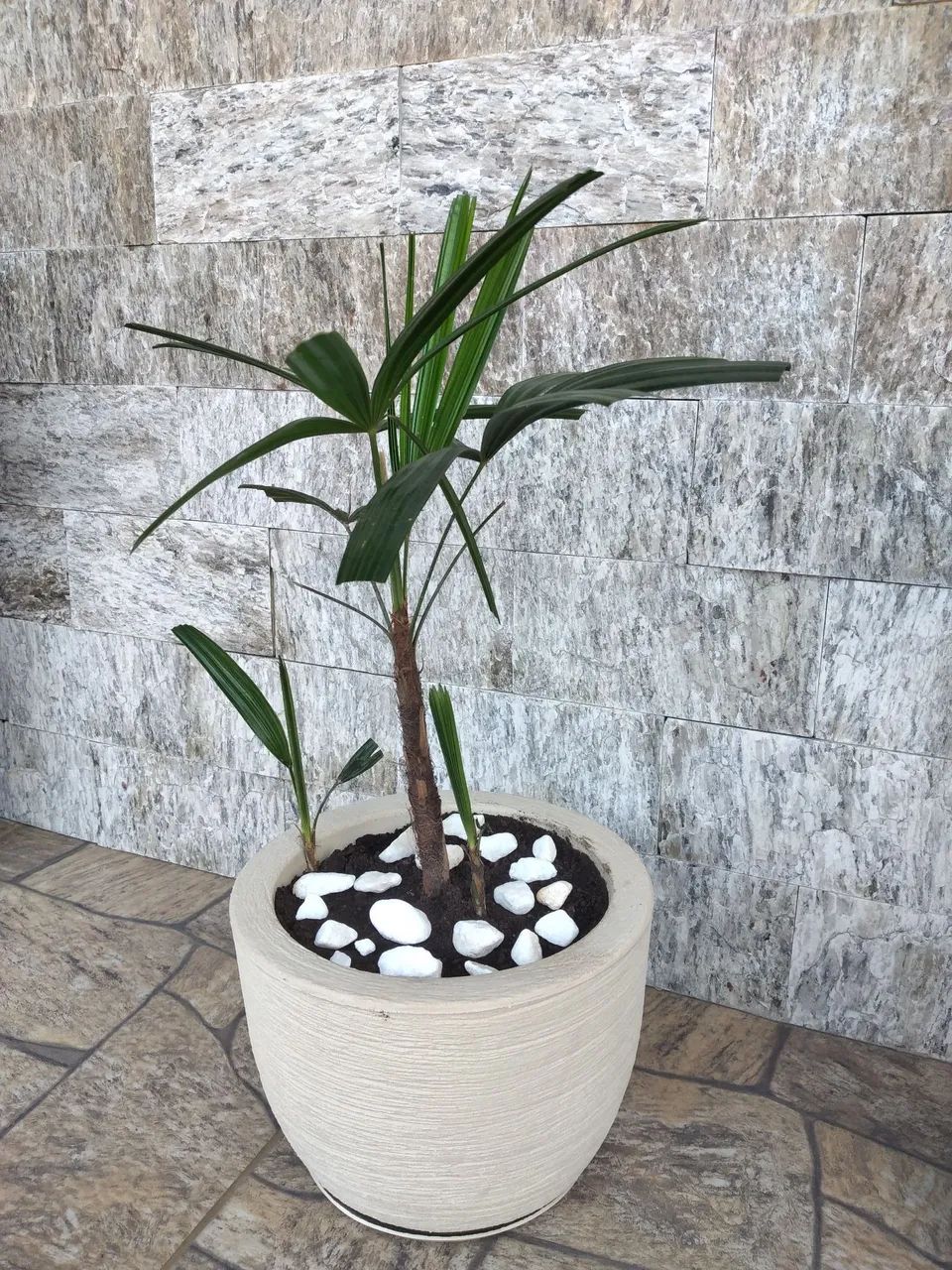 Vaso com ráfia 25x20cm