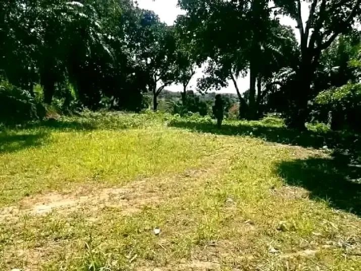Foto - São Lourenço da Mata - Centro