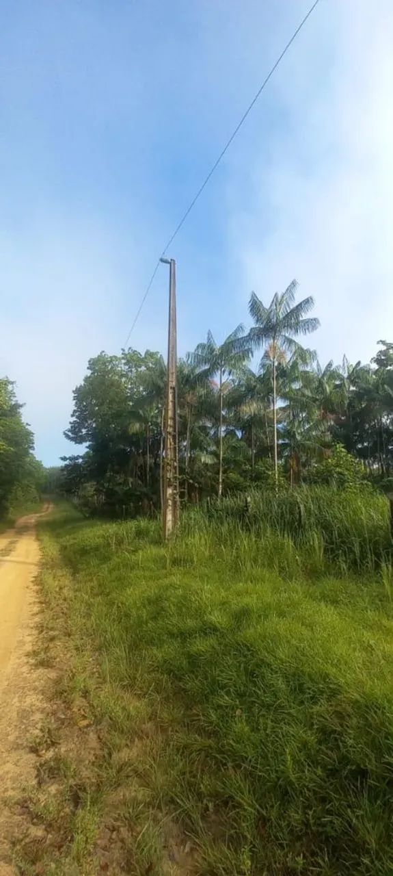 Vende-se um terreno com 23 hectare Acará Pará - Foto 5