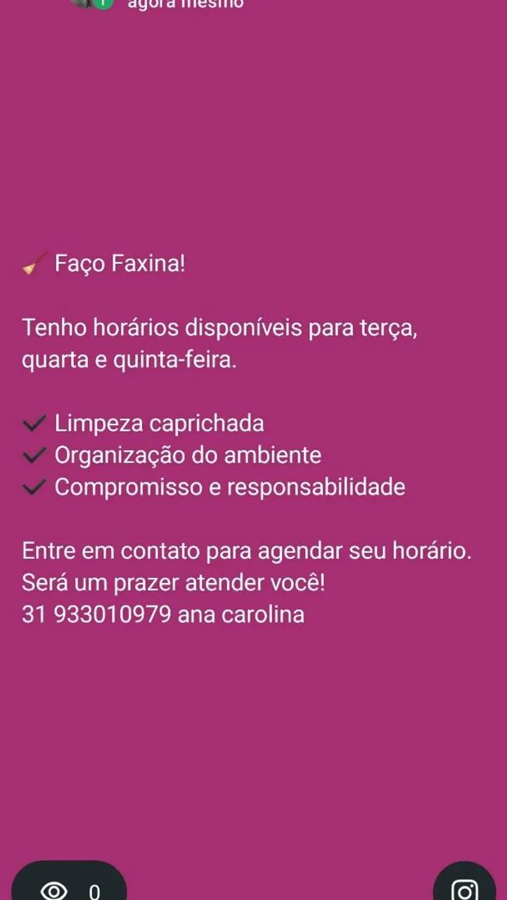 Faxina 