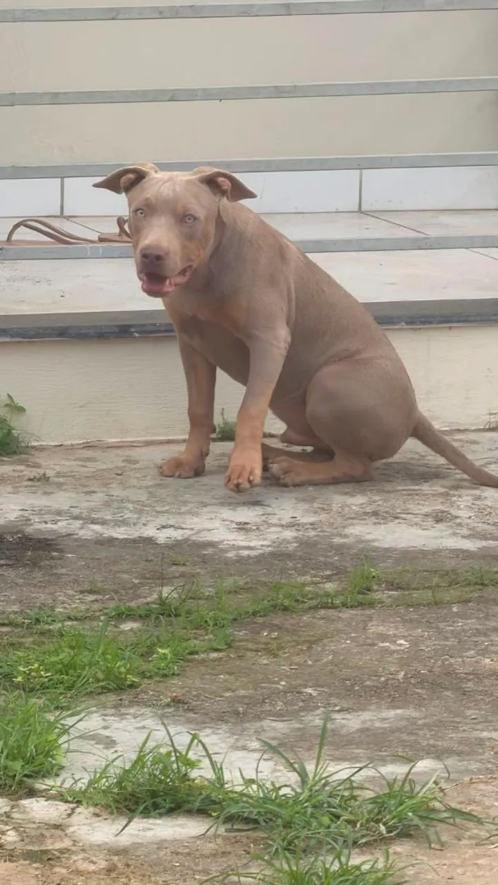 Disponível - Foto 2