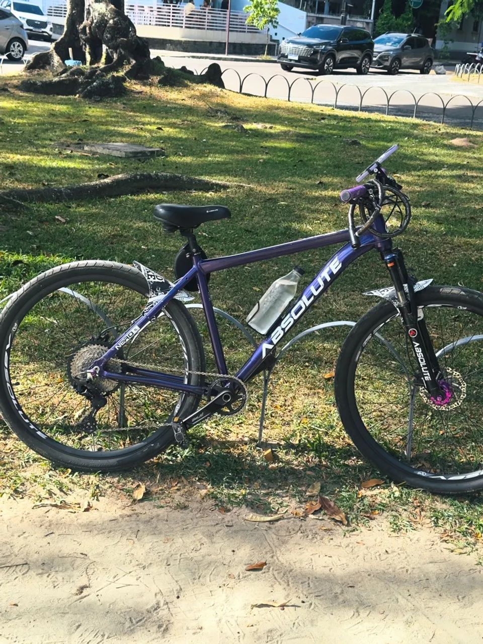 Bike absolute roxa 